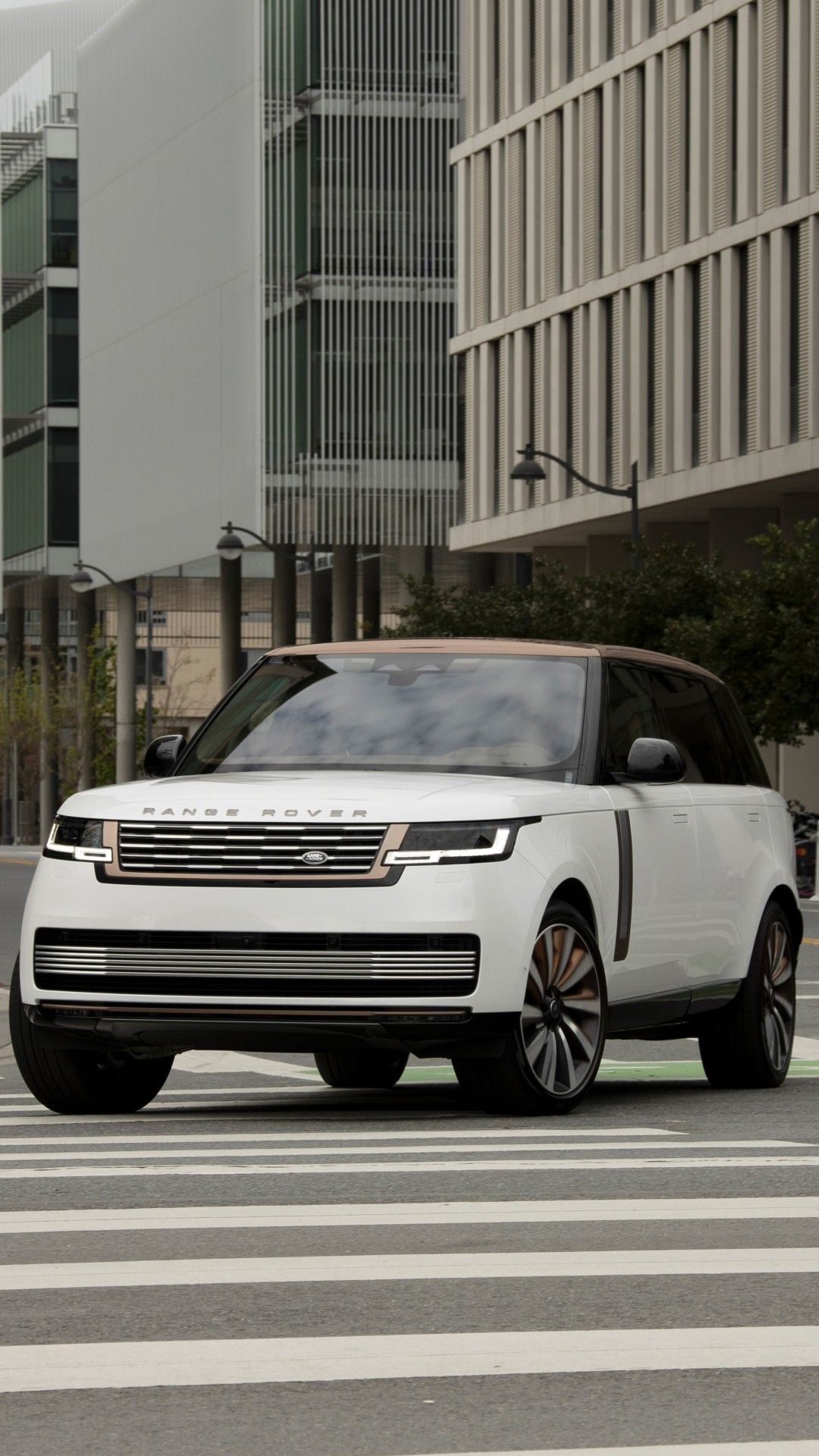 Vehicle Import Process